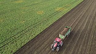 Die Preise f&uuml;r viele Agrarprodukte sind derzeit unter Druck. (Archivbild)