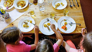 Gesundes Essen mit einem hohen Anteil an Bio-Lebensmitteln ist gerne etwas teurer. Wie man mit der Verpflegung an Schulen und Kindertagesstätten in Landshut künftig umgeht, darüber wollte der Stadtrat in seiner Sitzung am Freitag noch keine Entscheidung treffen. Folglich wurde das Thema in zweite Lesung geschickt.