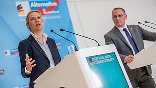 Die AfD von Alice Weidel und Tino Chrupalla hat in j&uuml;ngsten Umfragen klar die Nase vorn. (Archivbild)