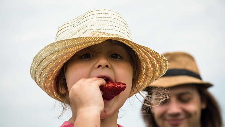 Wer kann bei firschen Erdbeeren schon widerstehen? Wer kann bei firschen Erdbeeren schon widerstehen?