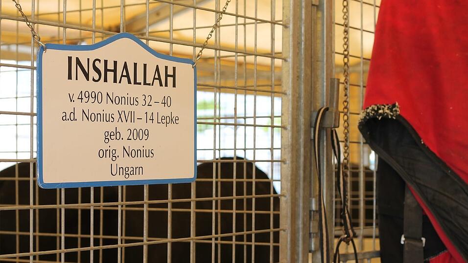 Bis zum 17. Mai gastiert der Circus Krone in Straubing. Wir haben uns angeschaut, wie es hinter den Kulissen aussieht. Bis zum 17. Mai gastiert der Circus Krone in Straubing. Wir haben uns angeschaut, wie es hinter den Kulissen aussieht.