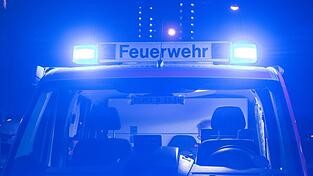 Eine weitere Person und zwei Hunde blieben unverletzt. (Symbolbild) Eine weitere Person und zwei Hunde blieben unverletzt. (Symbolbild)