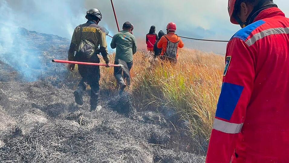 Dem Feuer sind schon 70 Hektar Land zum Opfer gefallen. Dem Feuer sind schon 70 Hektar Land zum Opfer gefallen.