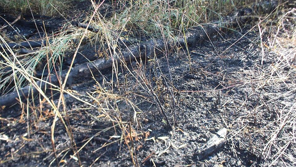 Die Straubinger Feuerwehr löschte am Montagnachmittag einen Brand am Donauufer.