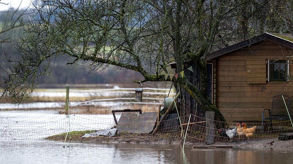 H&uuml;hner in Hemmendorf blicken aufs Hochwasser.