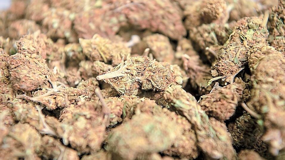 Zwei Kilo Marihuana waren im Keller von Adil A. gebunkert. Zwei Kilo Marihuana waren im Keller von Adil A. gebunkert.