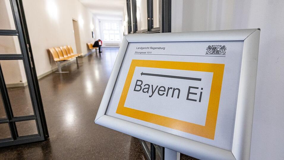 Zwei Verhandlungstage sind im Prozess noch angesetzt.