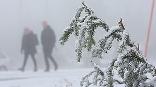 In den Mittelgebirgen wie dem Harz wird am Mittwoch Neuschnee erwartet. In den Mittelgebirgen wie dem Harz wird am Mittwoch Neuschnee erwartet.