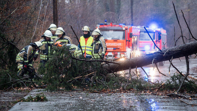 Sturmtief 'Sabine' sorgte gestern im Freistaat f&uuml;r reichlich Chaos und Verw&uuml;stung. Eine Seniorin aus dem Landkreis Regensburg bekam die Kraft des Orkans am eigenen Leibe zu sp&uuml;ren. (Symbolbild)