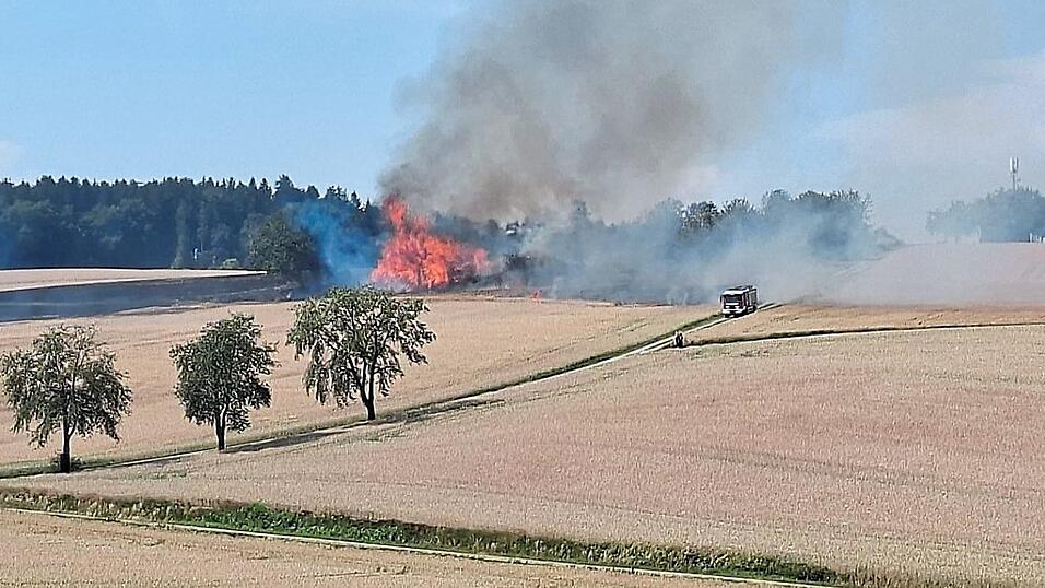 Nicht nur eine Wiese, auch ein Holzstapel und B&auml;ume fingen bei Weng Feuer.