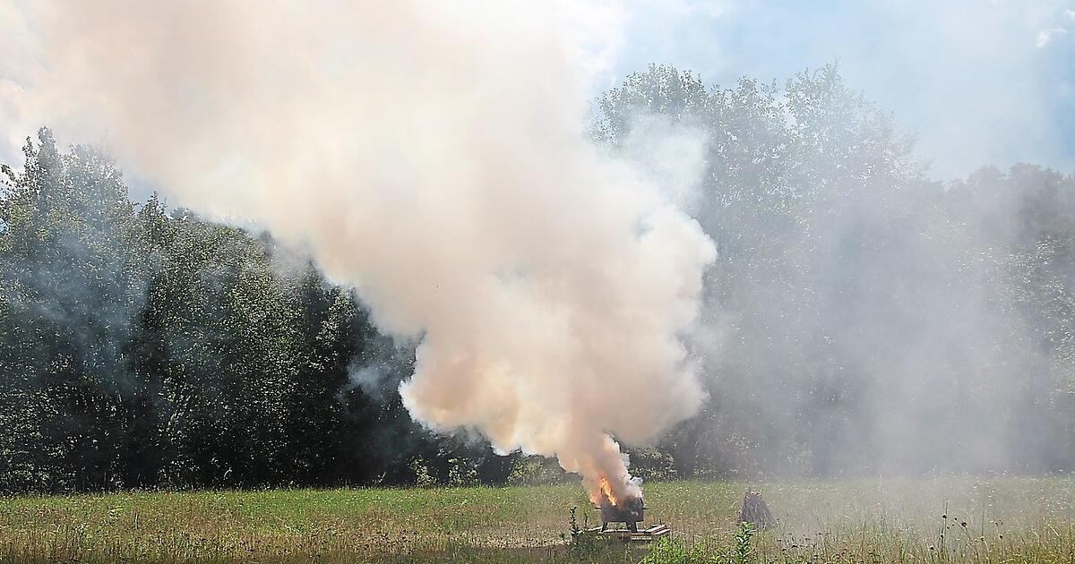 Drei-Jahres-Projekt bei Roding: Drohnen und KI zur Waldbrand-Erkennung
