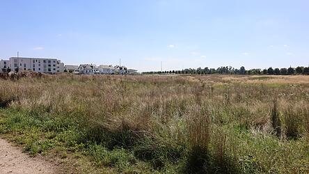 Die Stadt lebt von ihrer finanziellen, auch, weil sich die Pläne des Investors für das Sondergebiet Amperauen aufgrund der Weltlage zerschlagen haben.