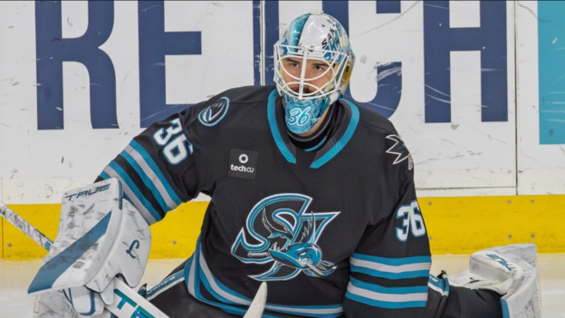 Jakub &Scaron;karek wechselt aus Nordamerika zu den Straubing Tigers. Der Torh&uuml;ter stand zuletzt bei den San Jose Barracuda unter Vertrag und feierte 2025 sein NHL-Deb&uuml;t f&uuml;r die New York Islanders.