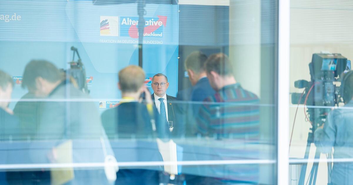 Wie gefährlich wird die Verwandtenaffäre der AfD? - Idowa.de