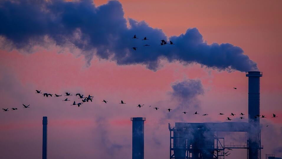 Die deutsche Industrie hat 2025 Umsatz eingebüßt (Archivbild) Die deutsche Industrie hat 2025 Umsatz eingebüßt (Archivbild)