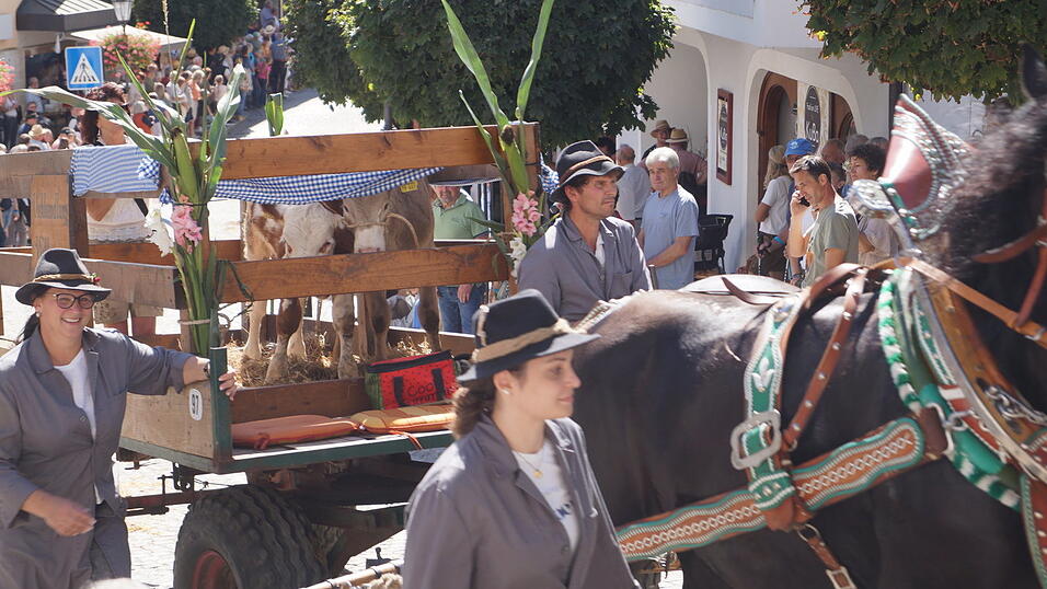 Das war der 35. Bad K&ouml;tztinger Rosstag: Bilder vom Festumzug.