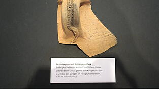 Unter anderem dieser Gef&auml;&szlig;rest mit Schlangenmotiv wurde bei den Ausgrabungen gefunden.