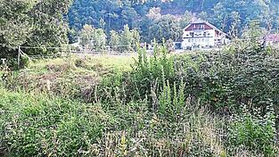 Der Tiefenbacher Wirtsanger verbindet die Neue Ortsmitte mit der Kirchenstra&szlig;e.