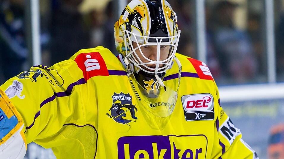 Goalie Tomas Duba verlässt die Krefeld Pinguine. Goalie Tomas Duba verlässt die Krefeld Pinguine.