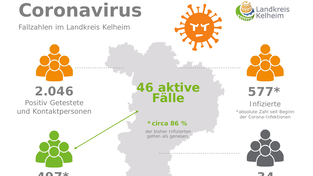 Aktuell sind im Landkreis Kelheim 46 Corona-Fälle registriert.
