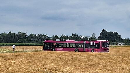 „Mama, i wui lila Bus fahren, ganz lang.“ „Mama, i wui lila Bus fahren, ganz lang.“