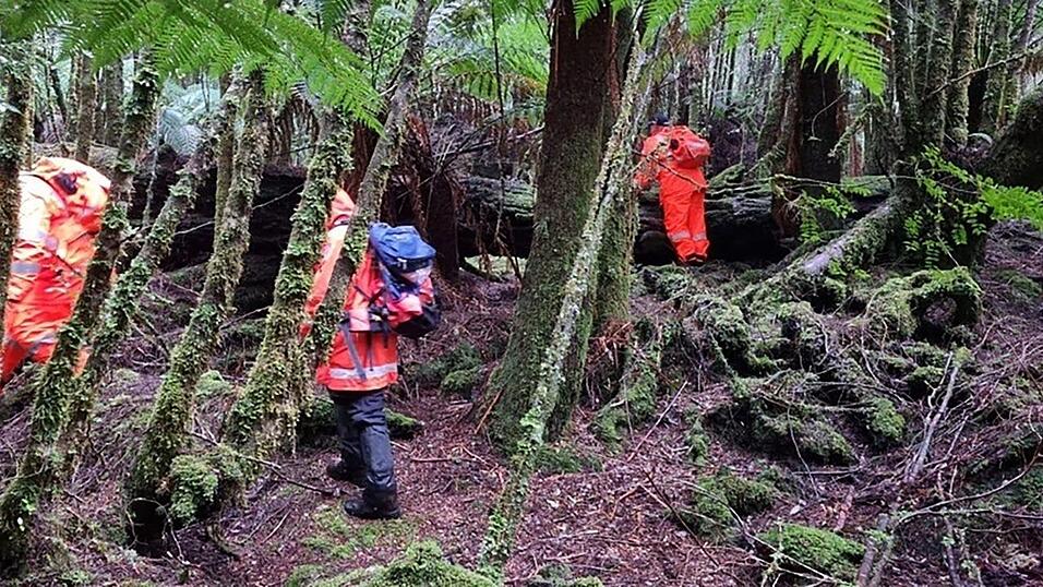 Einsatzkr&auml;fte suchten 2023 die dichten W&auml;lder Tasmaniens nach der 31-J&auml;hrigen ab. (Archivbild)