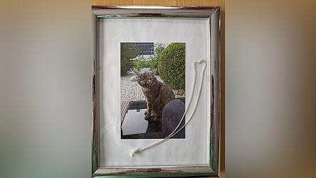 Eine Perle kann mit einem Extrakt aus chemisch aufbereiteten Haaren des Tieres bef&uuml;llt werden.