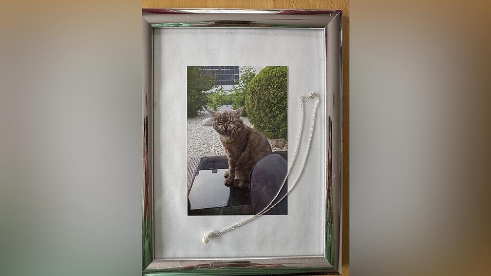 Eine Perle kann mit einem Extrakt aus chemisch aufbereiteten Haaren des Tieres befüllt werden. Eine Perle kann mit einem Extrakt aus chemisch aufbereiteten Haaren des Tieres befüllt werden.