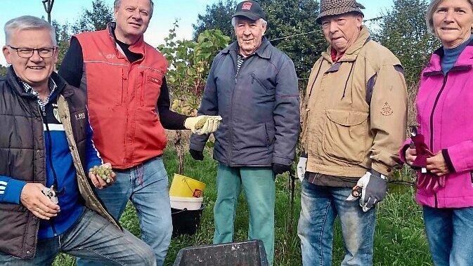 Das Team des Obst- und Gartenbauvereins. Das Team des Obst- und Gartenbauvereins.