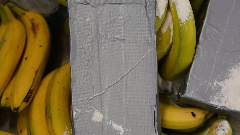 Große Kokain-Lieferungen aus Südamerika werden häufig unter Bananen versteckt. (Symbolbild) Große Kokain-Lieferungen aus Südamerika werden häufig unter Bananen versteckt. (Symbolbild)