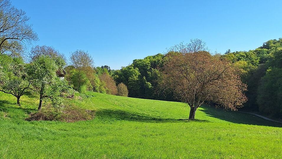 Das Tal wurde wohl schon in der Steinzeit genutzt, heute tr&auml;gt es zum Klima in Landshut als Frischluftschneise bei.