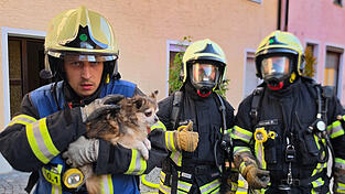 Die zwei Katzen rannten schnell davon, aber ein kleiner verängstigter Hund musste noch von der Freiwilligen Feuerwehr aus der Wohnung getragen werden. Die zwei Katzen rannten schnell davon, aber ein kleiner verängstigter Hund musste noch von der Freiwilligen Feuerwehr aus der Wohnung getragen werden.