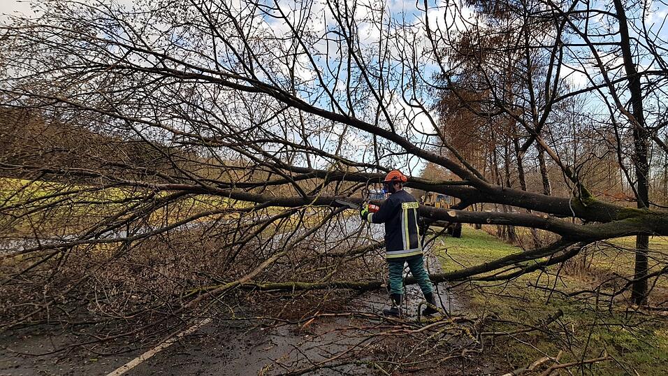 Umgest&uuml;rzte B&auml;ume machten den Gro&szlig;teil der Einsatzstellen f&uuml;r die Landkreiswehren aus.
