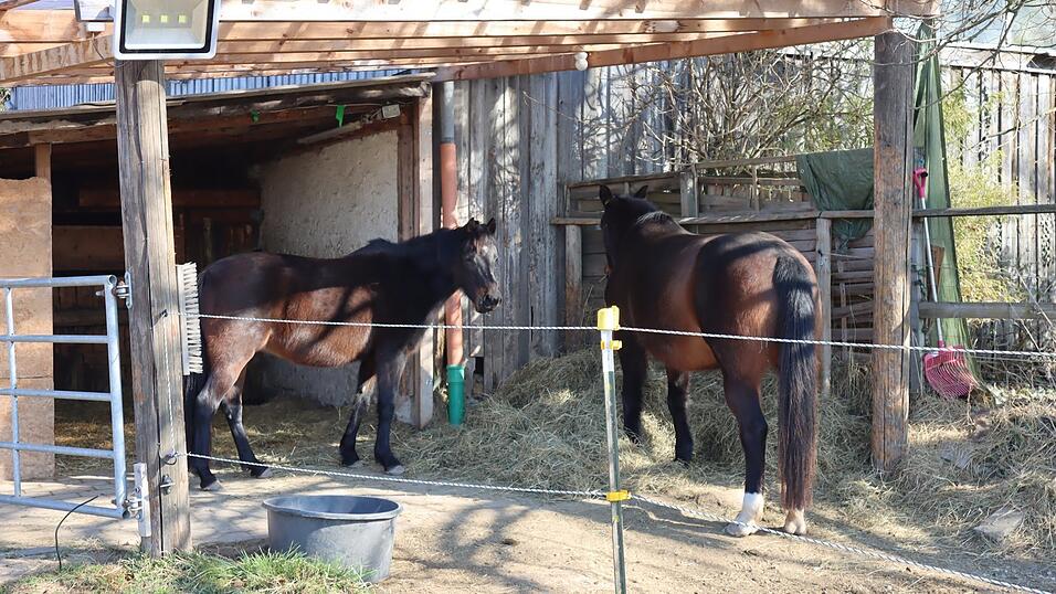Nach derzeitigem Stand werden auch SchickiMicki und Hermine ab Juli eine neue Bleibe brauchen.