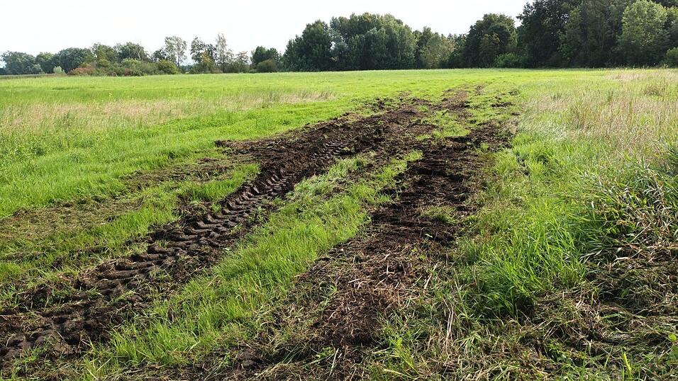 Die Wiesen in den fr&uuml;heren Donauschleifen - wie hier im Alburger Moos - sind nach den reichlichen Niederschl&auml;gen in diesem Jahr mit schweren Maschinen kaum befahrbar.