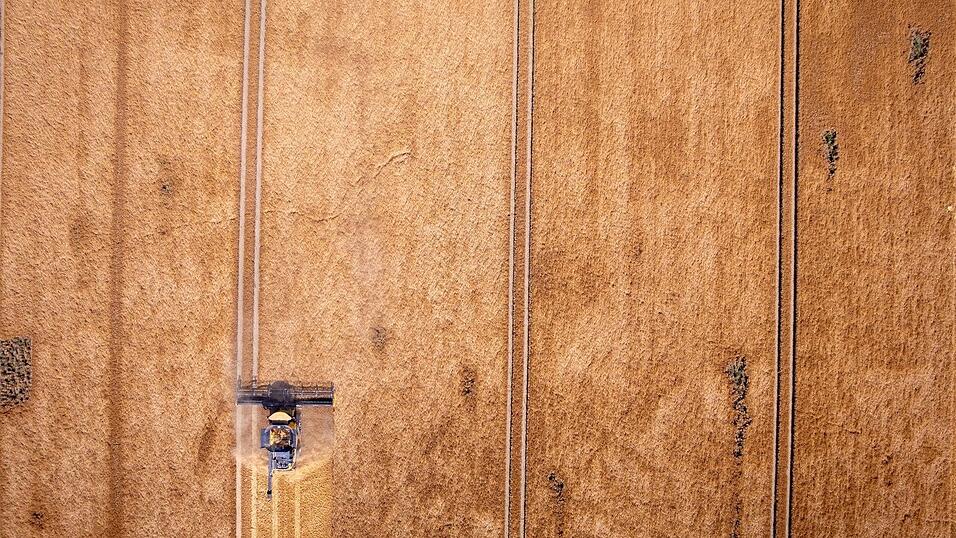 Ungünstiges Wetter bedroht vielerorts die Ernten. Das ist ein Grund, warum Lebensmittel teurer werden. (Symbolbild) Ungünstiges Wetter bedroht vielerorts die Ernten. Das ist ein Grund, warum Lebensmittel teurer werden. (Symbolbild)