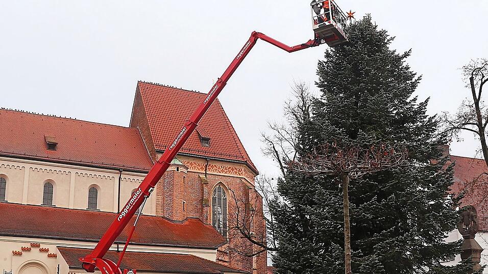 Kleiner Stern am großen Baum: Die mächtige Kolorado-Tanne, die kürzlich mit viel Aufwand durch die Stadt transportiert und dann auf dem Plan aufgestellt worden ist, hat am Dienstag ihren Stern bekommen. Dafür brauchte es eine Kran-Hebebühne.