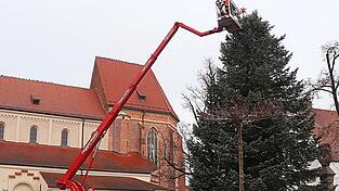 Kleiner Stern am großen Baum: Die mächtige Kolorado-Tanne, die kürzlich mit viel Aufwand durch die Stadt transportiert und dann auf dem Plan aufgestellt worden ist, hat am Dienstag ihren Stern bekommen. Dafür brauchte es eine Kran-Hebebühne.