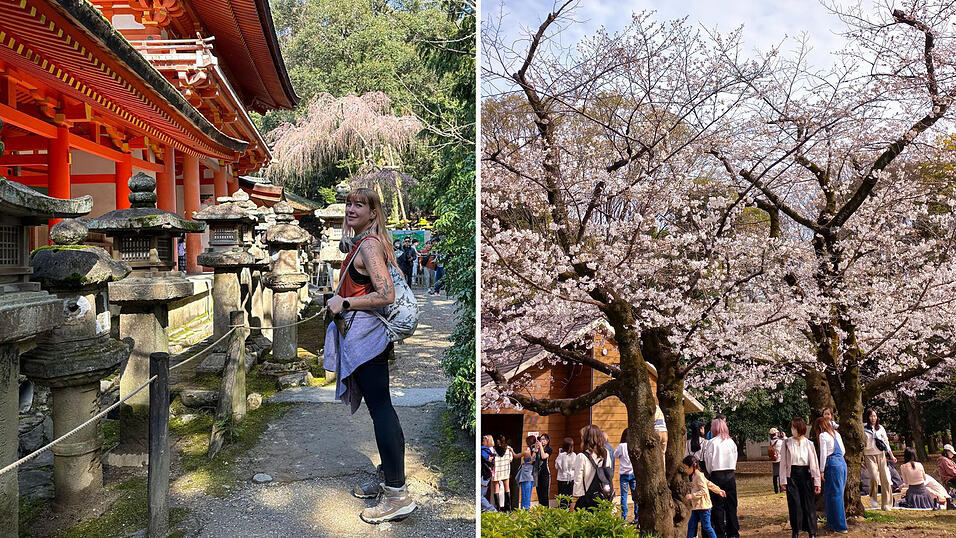 Eines der Highlights für Kati Auerswald in Japan: die beginnende Kirschblüte, Sakura genannt. Eines der Highlights für Kati Auerswald in Japan: die beginnende Kirschblüte, Sakura genannt.