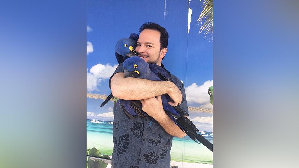 Die beiden Hyazinth-Aras schmusen gerne mit ihrem Trainer Alessio. Die beiden Hyazinth-Aras schmusen gerne mit ihrem Trainer Alessio.