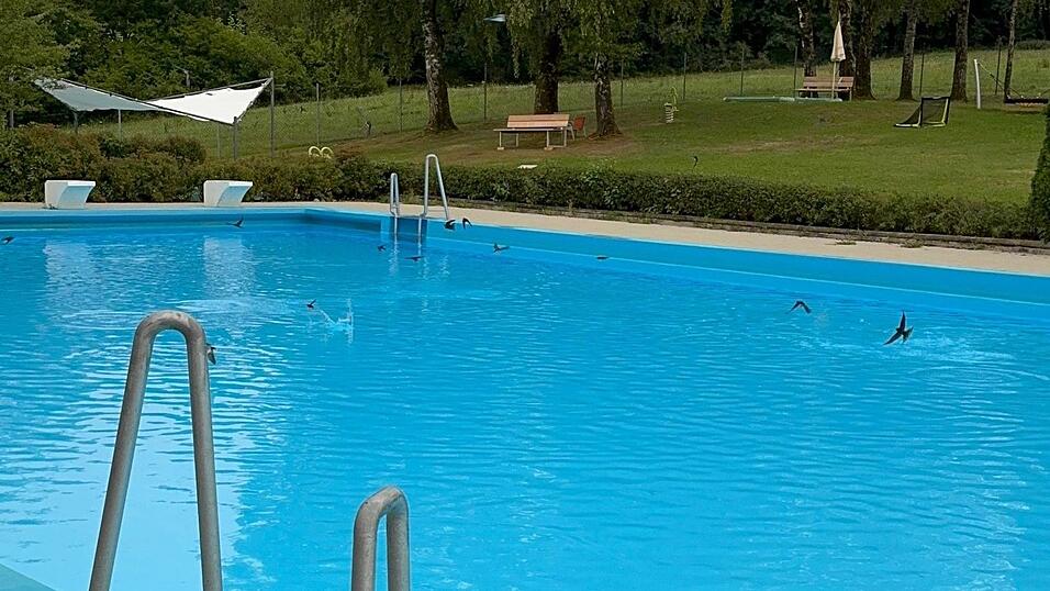 Sie kommen immer um die Zeit, wenn die letzten Gäste gegangen sind oder höchstens ein Schwimmer noch seine letzten Runden zieht. Sie kommen immer um die Zeit, wenn die letzten Gäste gegangen sind oder höchstens ein Schwimmer noch seine letzten Runden zieht.