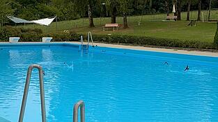 Sie kommen immer um die Zeit, wenn die letzten Gäste gegangen sind oder höchstens ein Schwimmer noch seine letzten Runden zieht. Sie kommen immer um die Zeit, wenn die letzten Gäste gegangen sind oder höchstens ein Schwimmer noch seine letzten Runden zieht.