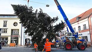 Das Aufstellen des Christbaums an der Mariensäule. Das Spektakel zog wieder etliche Schaulustige an.