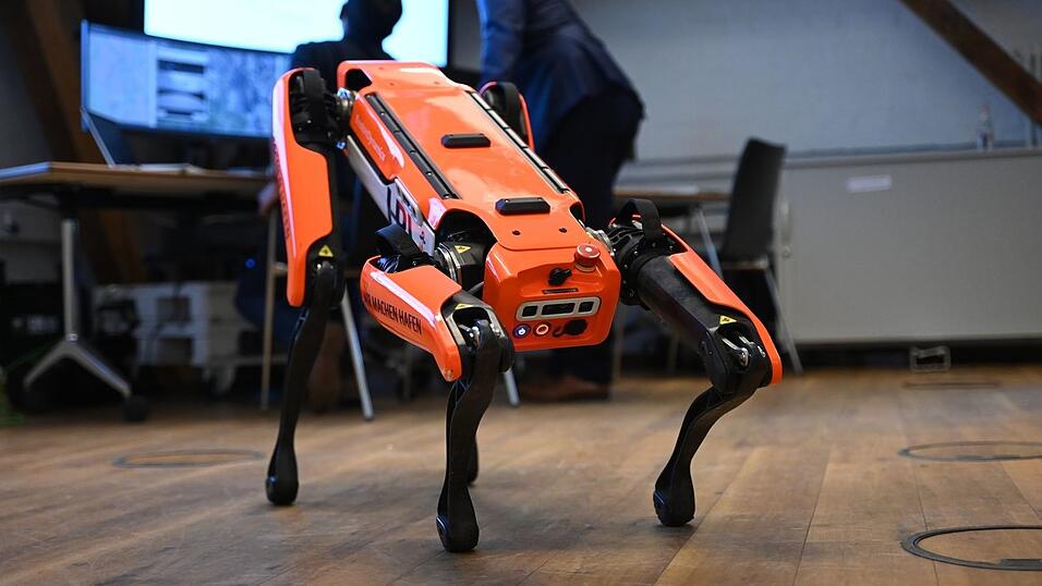 Ähnliche Roboter kamen auch am Hamburger Hafen zum Einsatz. (Archivbild) Ähnliche Roboter kamen auch am Hamburger Hafen zum Einsatz. (Archivbild)