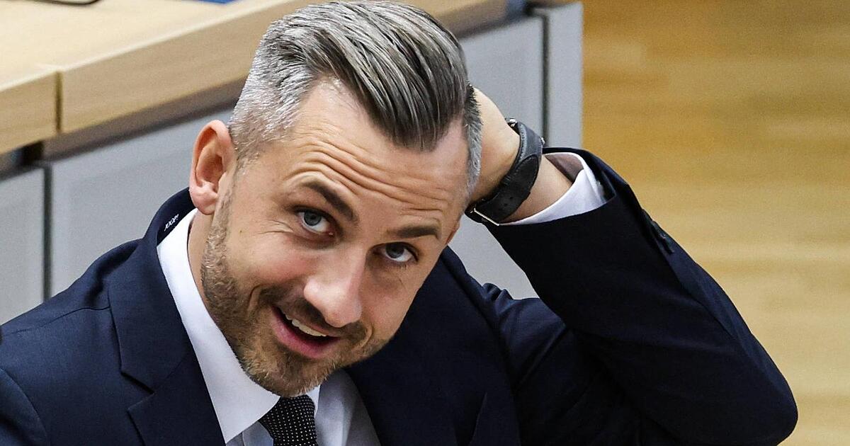 Der Vetternwirtschaftsskandal fordert die Teflon-AfD heraus - Idowa.de