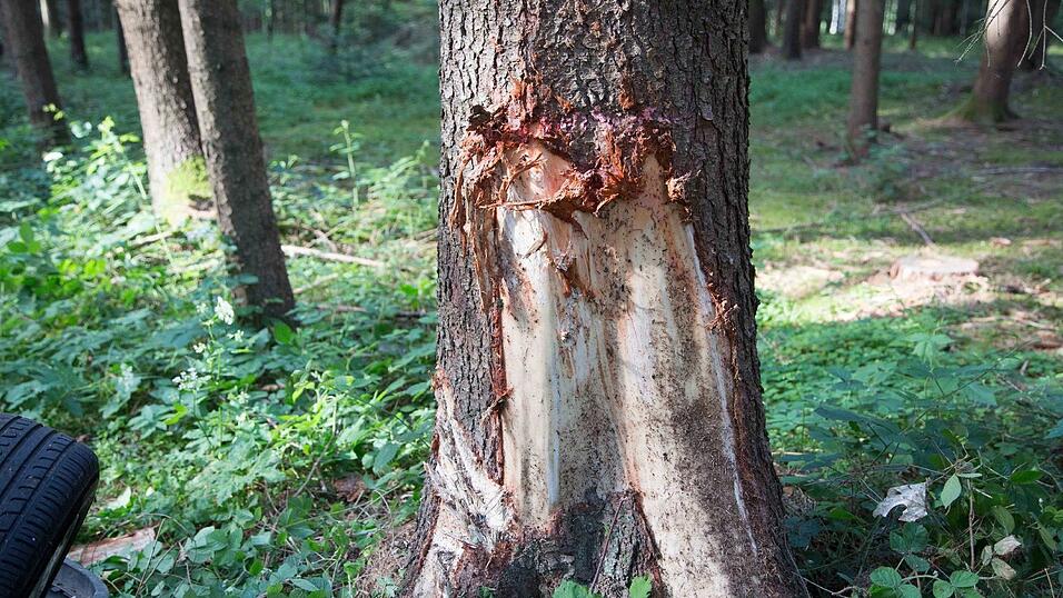 Unfall am Pfingstmontag in einem Waldst&uuml;ck bei Frontenhausen (Kreis Dingolfing-Landau). Dabei wurde ein 75-j&auml;hriger Mann schwer verletzt.