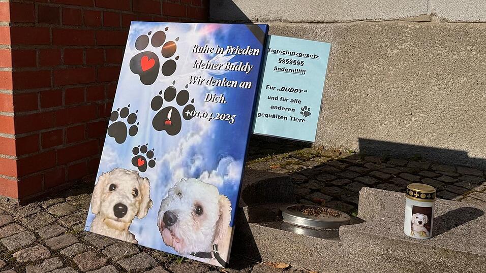 Der Fall hat in Flensburg und in den sozialen Medien für viel Anteilnahme und Betroffenheit gesorgt. Der Fall hat in Flensburg und in den sozialen Medien für viel Anteilnahme und Betroffenheit gesorgt.