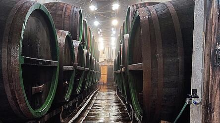 In den Kellern der Pilsner Brauerei lagert das Bier in riesigen Fässern. Eine traditionelle Art der Reifung In den Kellern der Pilsner Brauerei lagert das Bier in riesigen Fässern. Eine traditionelle Art der Reifung