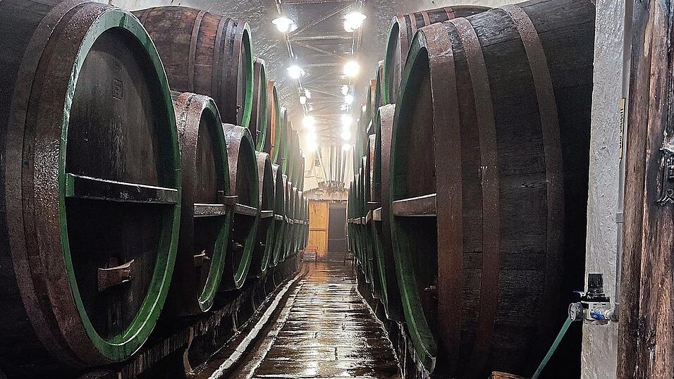In den Kellern der Pilsner Brauerei lagert das Bier in riesigen Fässern. Eine traditionelle Art der Reifung