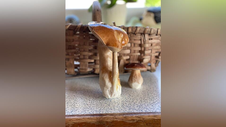 Albert Hofmann hat in Anzenberg bei Miltach diesen Steinpilz gefunden. Albert Hofmann hat in Anzenberg bei Miltach diesen Steinpilz gefunden.